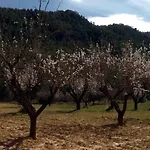 別荘 Casa El Pinar