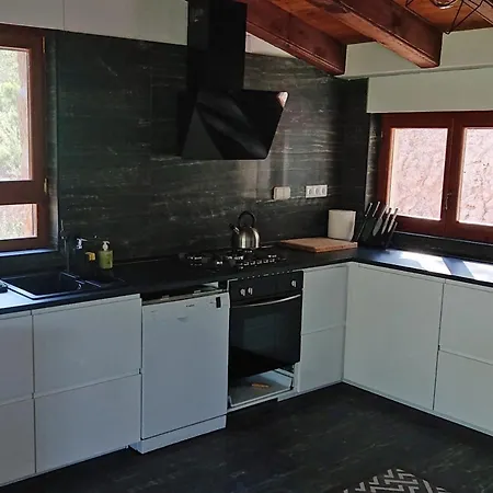 別荘 Casa El Pinar ベセイテ