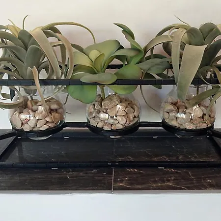 Casa El Pinar 別荘