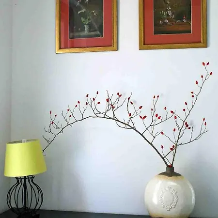 Casa El Pinar *