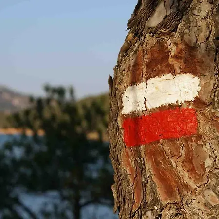 Hébergement de vacances Casa El Pinar
