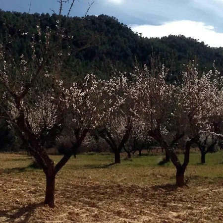 Hébergement de vacances Casa El Pinar