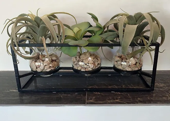 Casa El Pinar 度假居