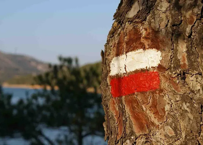 Ferienhaus Casa El Pinar