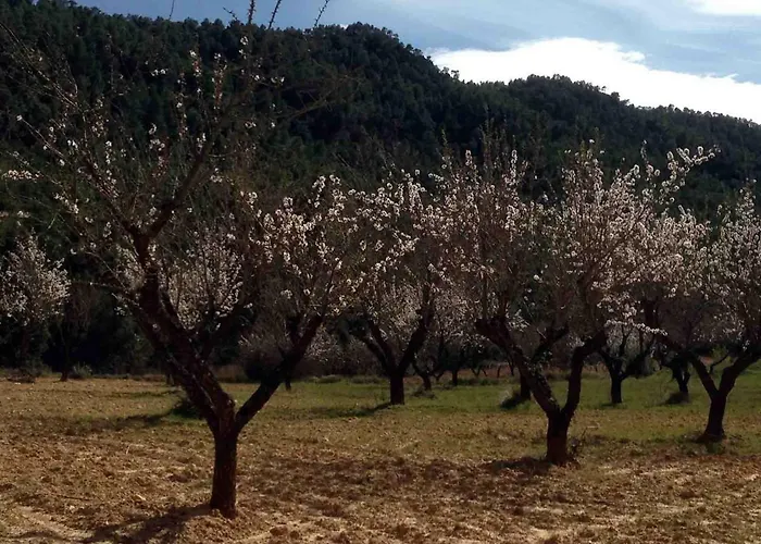 度假居 Casa El Pinar